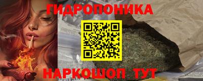 молекула духа Бийск