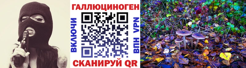 площадка состав  Лыткарино  Галлюциногенные грибы мухоморы 