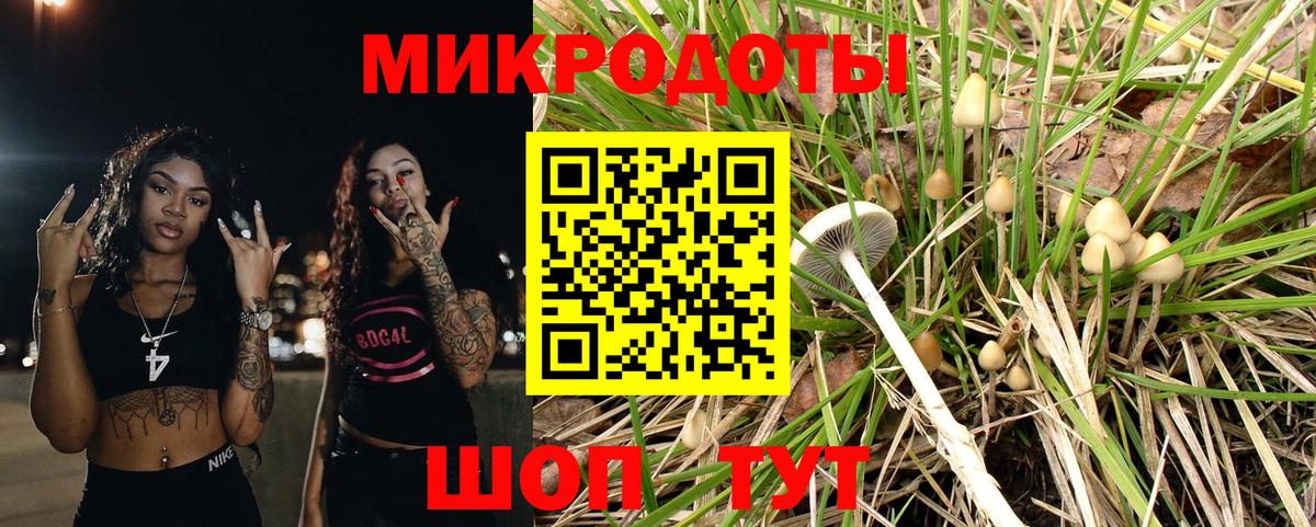 Галлюциногенные грибы GOLDEN TEACHER  Лыткарино 