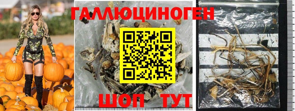 Лыткарино  Псилоцибиновые грибы мухоморы  Галлюциногенные грибы мухоморы  Вход с VPN 