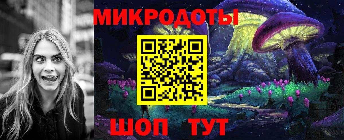 Галлюциногенные грибы Psilocybe Лыткарино